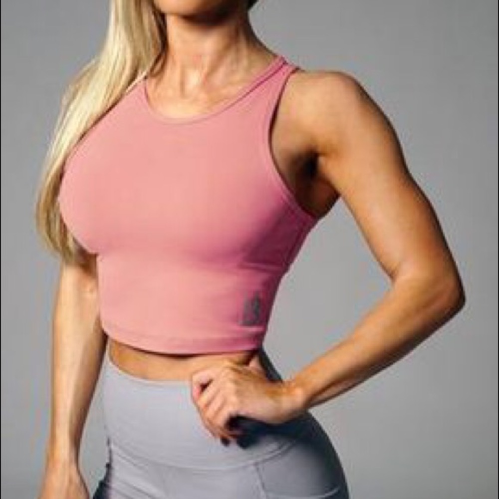 Buff Bunny Aurora Crop top. Mauve. Worn once.